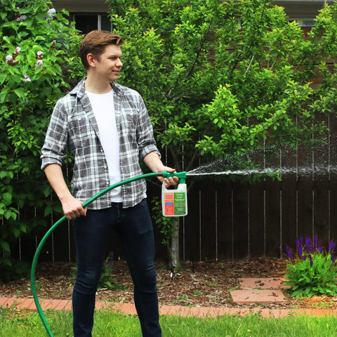Simple Lawn Solutions aplicación con manguera sobre césped para cobertura rápida