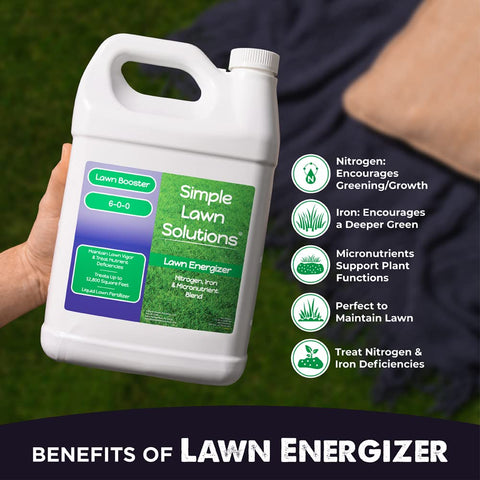 Simple Lawn Solutions césped antes y después evidenciando color más intenso