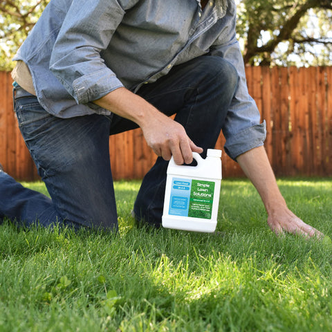 Simple Lawn Solutions gotas sobre hojas para buena absorción y nutrición