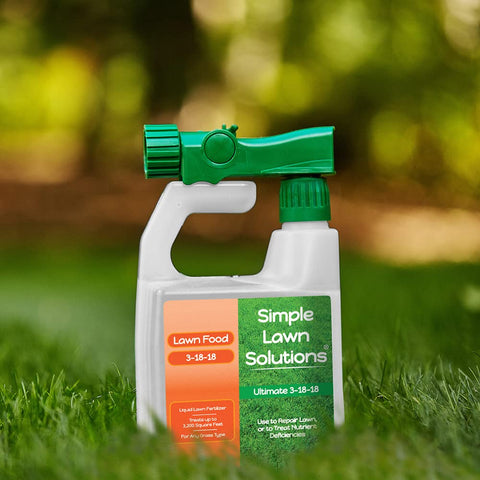 Simple Lawn Solutions césped antes y después resaltando vigor y enraizamiento