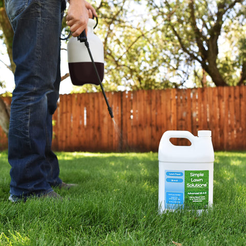 Simple Lawn Solutions galón al lado de una regla demostrando tamaño y rendimiento