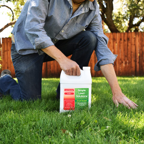 Simple Lawn Solutions comparación de escala junto a herramientas, ventaja: tamaño comercial de 1 galón