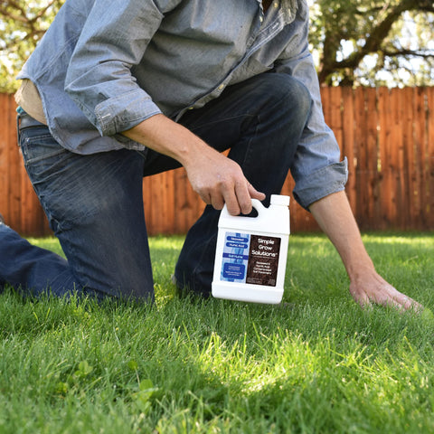 Simple Lawn Solutions uso en jardín sobre rosales para mejor absorción