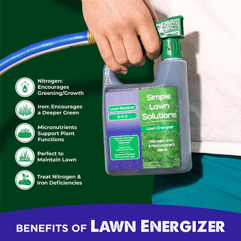 Simple Lawn Solutions césped más verde tras aplicación demostrando resultado