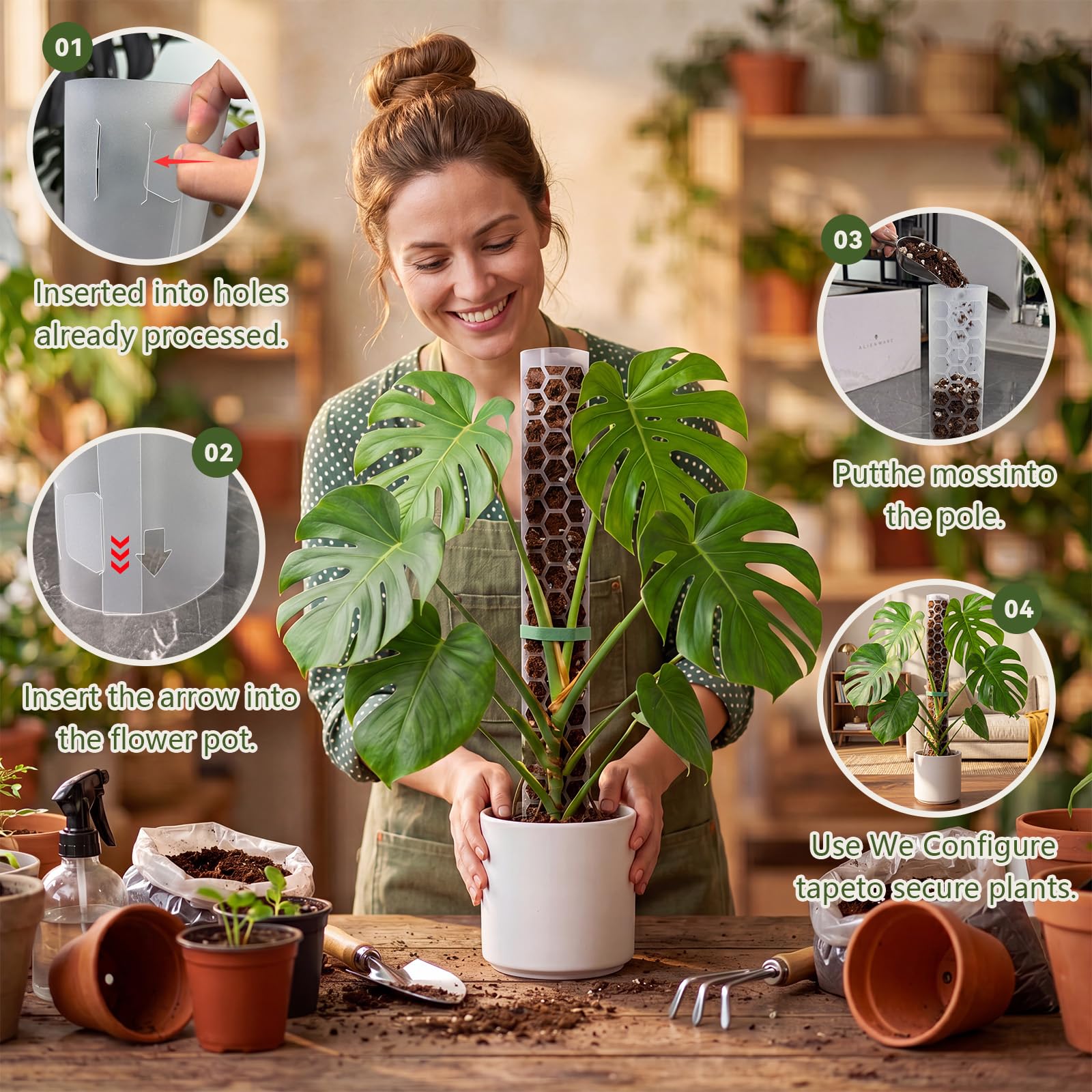 Sisher Monstera trepando poste 24" para crecimiento vertical ordenado