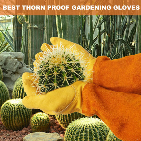 SLARMOR guantes en uso podando rosas demostrando protección ante espinas