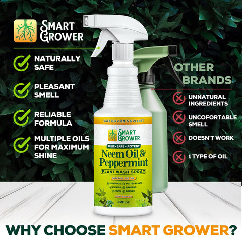 Smart Grower plantas de interior tras aplicación aportando frescura