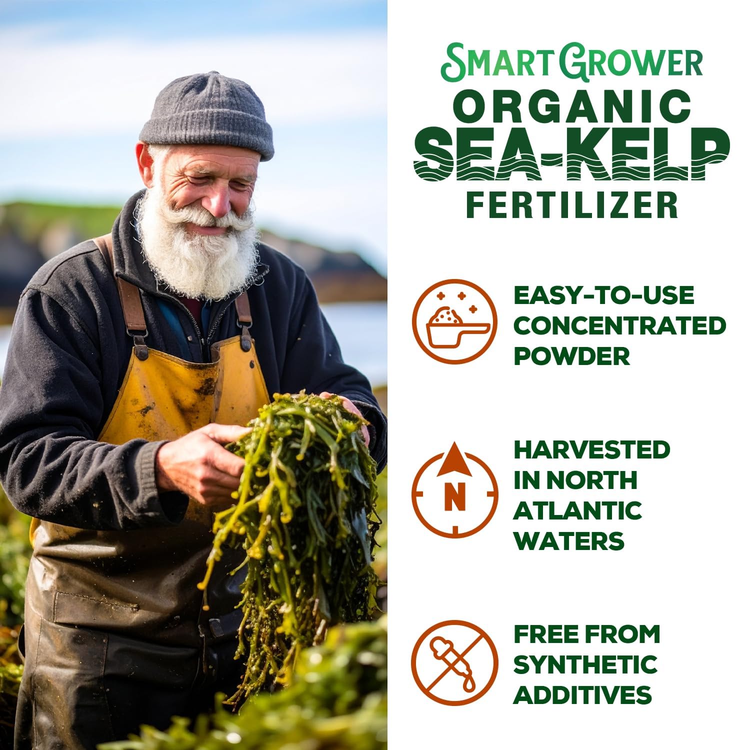 Smart Grower algas cosechadas en Maine origen frío y calidad
