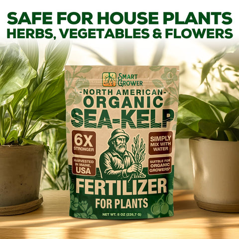 Smart Grower polvo disolviéndose en agua para una solución nutritiva rápida