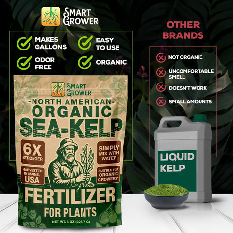 Smart Grower ambiente de jardín con plantas vigorosas tras aplicación