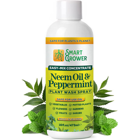 Smart Grower botella frontal del concentrado neem, presenta ahorro y rendimiento