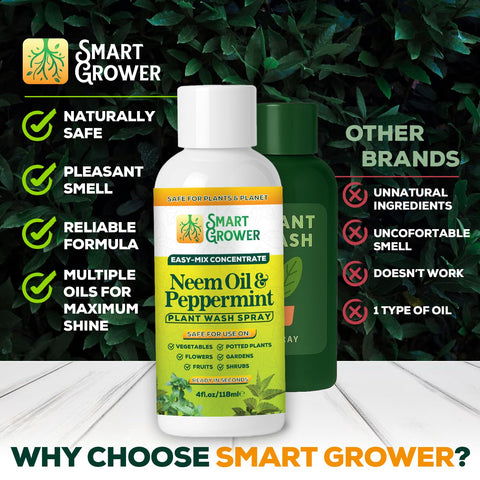 Smart Grower pipeta de medición para diluir correctamente y obtener dosificación precisa