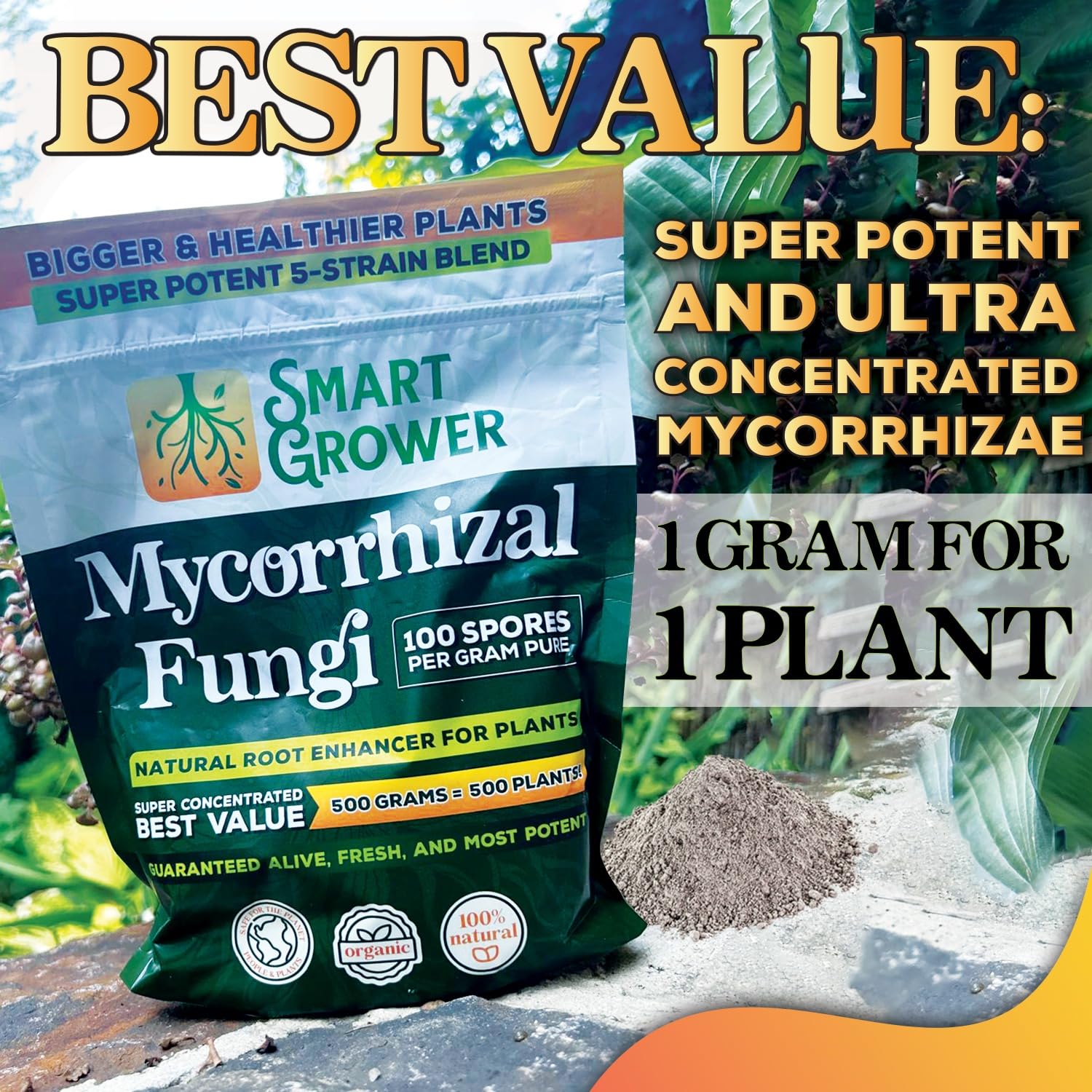 Smart Grower uso en trasplante mostrando contacto con raíces y vigor