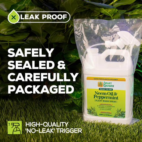 Smart Grower pulverizando planta interior para limpieza de hojas