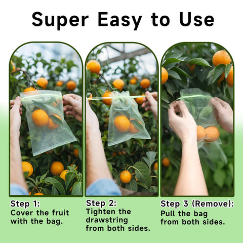 SmileLucky bolsa colocada en rama protegiendo fruta, evita aves e insectos