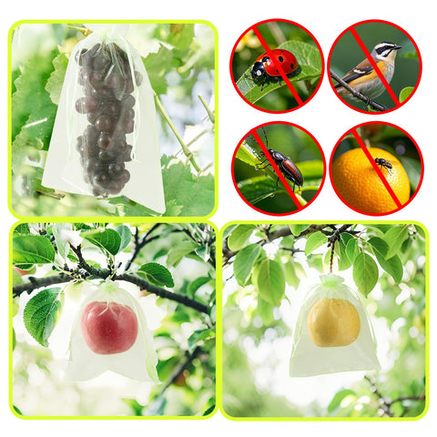 SmileLucky escena de jardín con bolsas en árboles, cuidando la cosecha