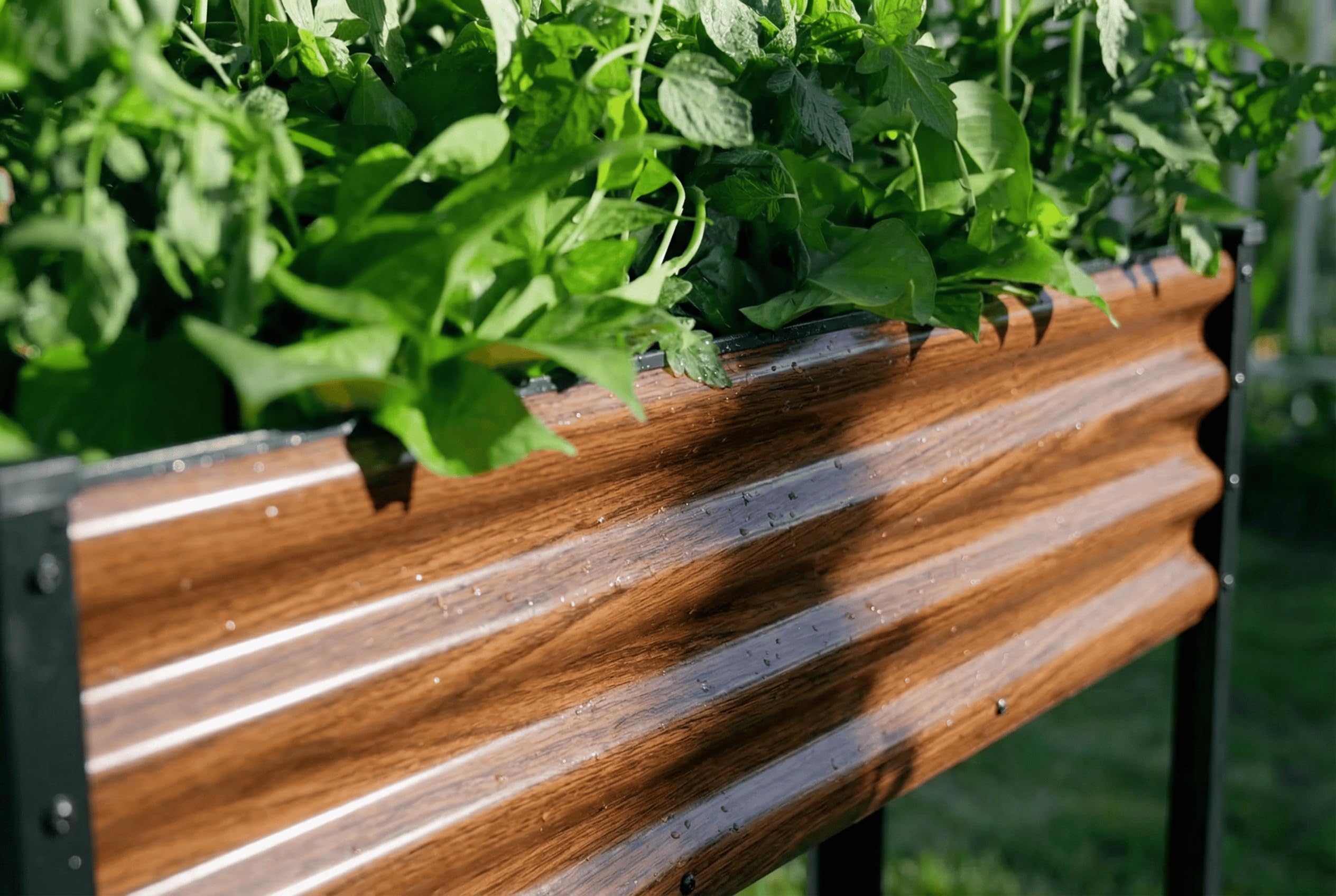 SnugNiture interior con tierra y plantas que muestra capacidad de cultivo