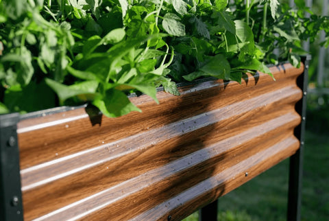SnugNiture interior con tierra y plantas que muestra capacidad de cultivo