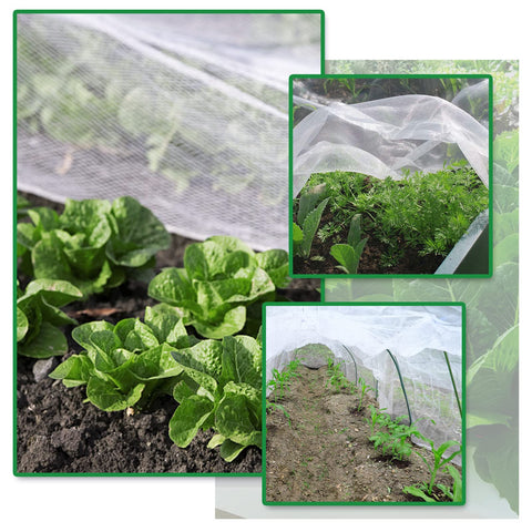 SnugNiture malla colocada sobre hileras para proteger plantas, mantiene luz y agua