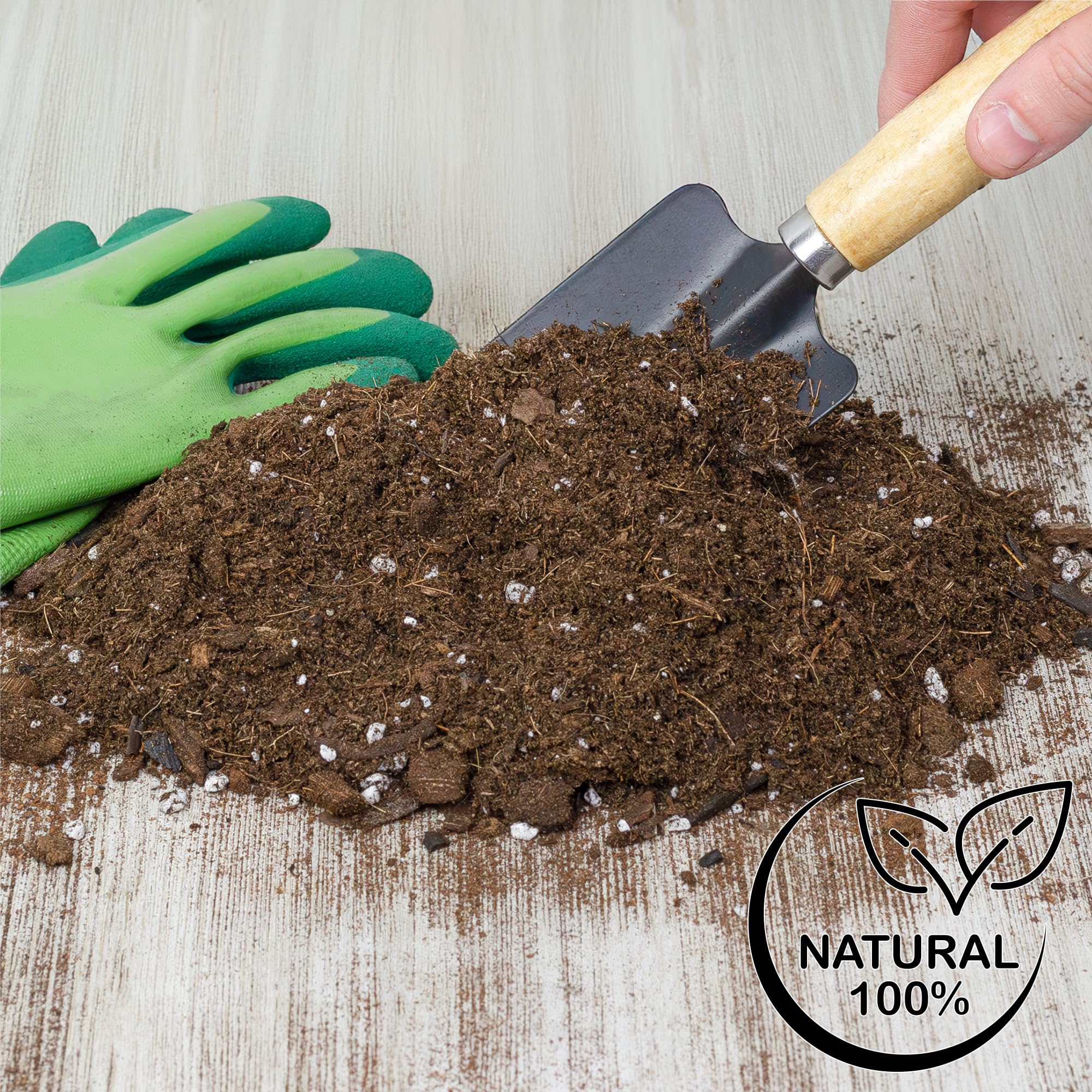 Soil Sunrise en ambiente decorativo interior, combina estética y función para plantas