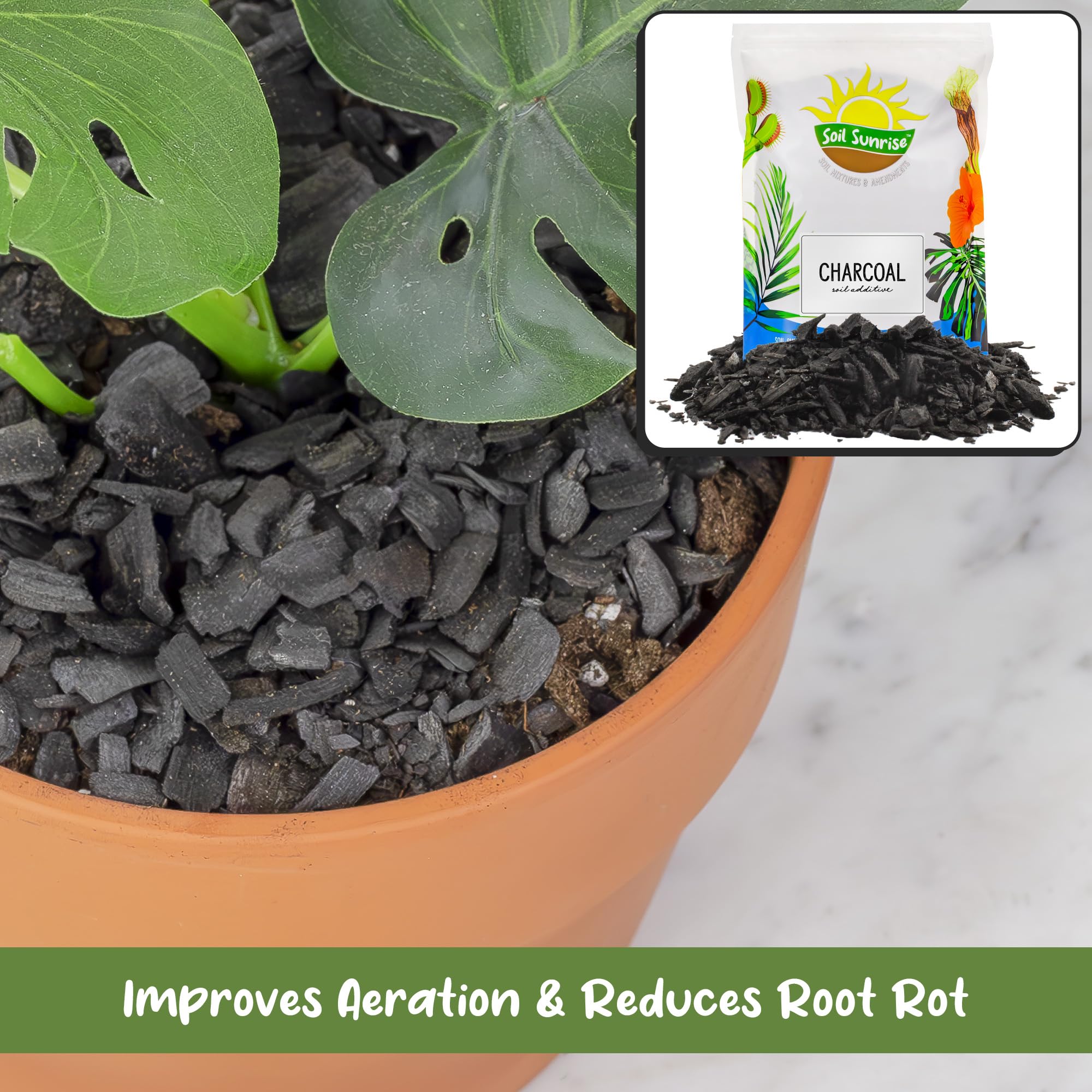 Soil Sunrise usado como capa base en maceta para evitar encharcamiento