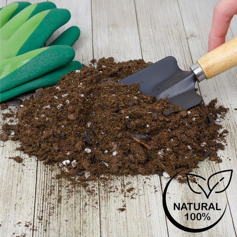 Soil Sunrise primer plano del humus de lombriz aportando nutrientes sostenidos