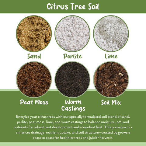 Soil Sunrise bolsa junto a regla para comparar volumen y facilitar elección