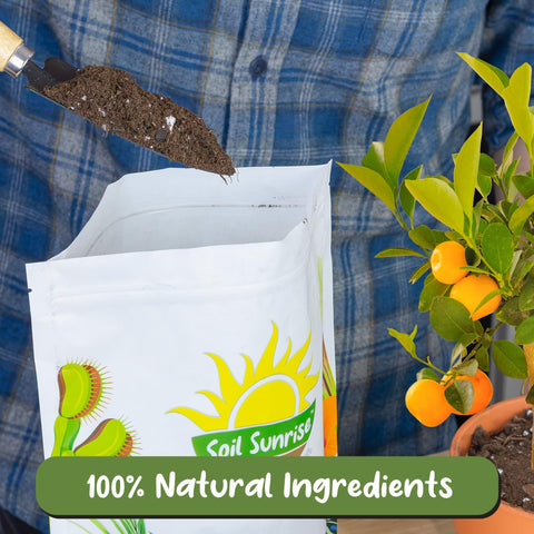 Soil Sunrise primer plano de perlita brindando mejor aireación para raíces