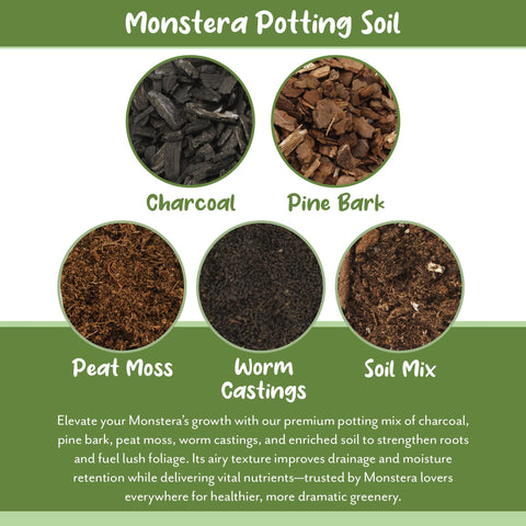 Soil Sunrise ingredientes orgánicos visibles, aporta nutrición natural sostenida