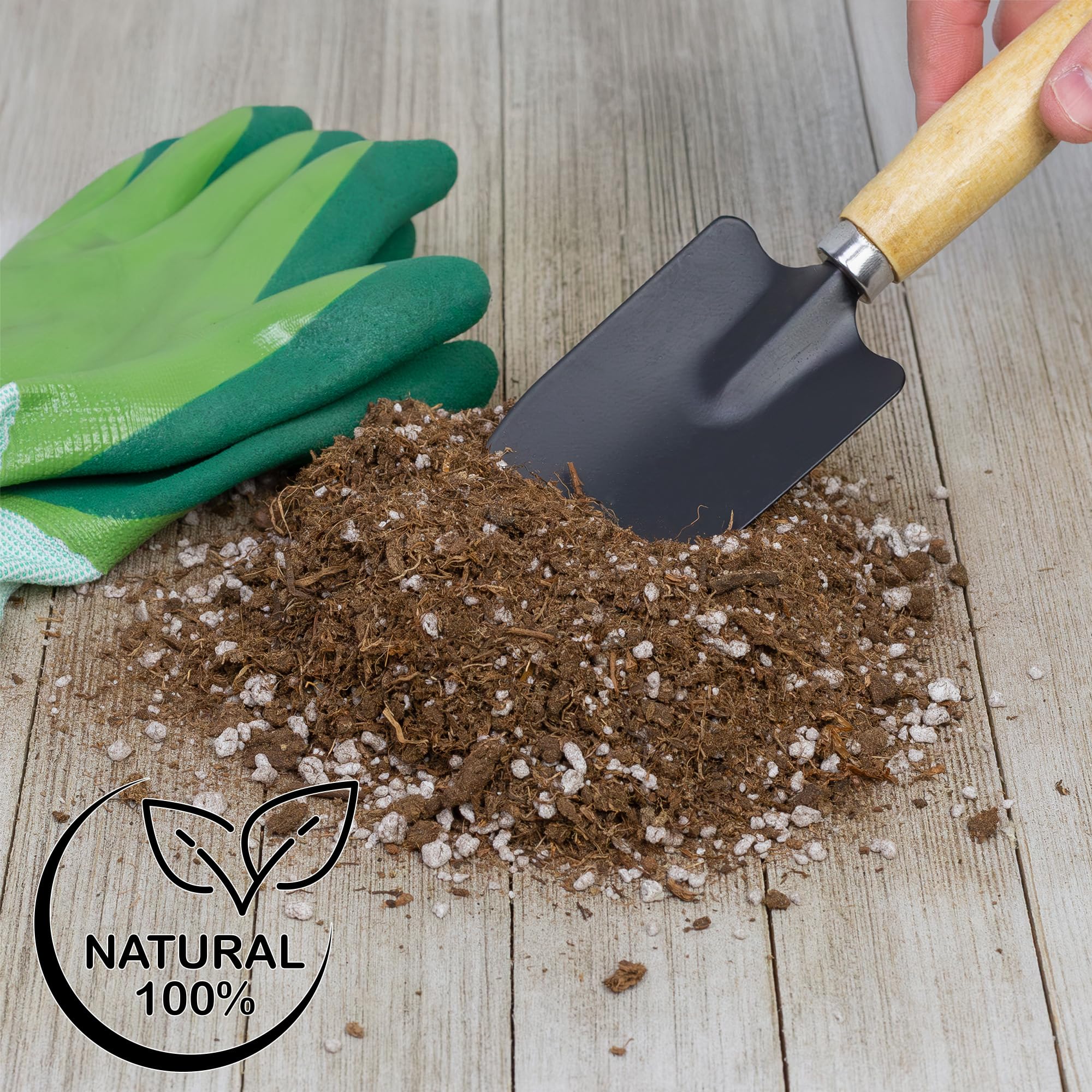 Soil Sunrise ambiente de invernadero mostrando plantas saludables