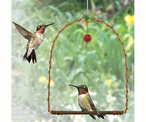 Songbird Essentials detalle de orbe de vidrio y perchero de madera, mejora observación