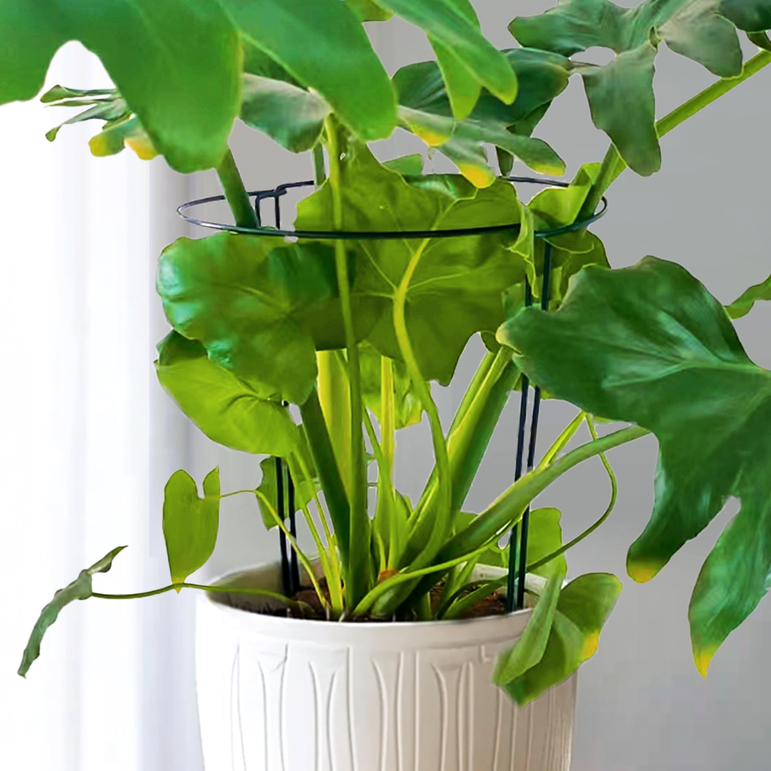 SORANGEUN conjunto de 10 unidades listo para instalar en múltiples plantas