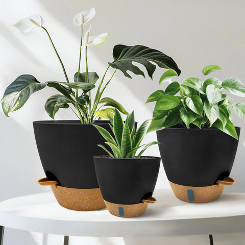 SORANGEUN ambiente minimalista con macetas, aporta elegancia y orden