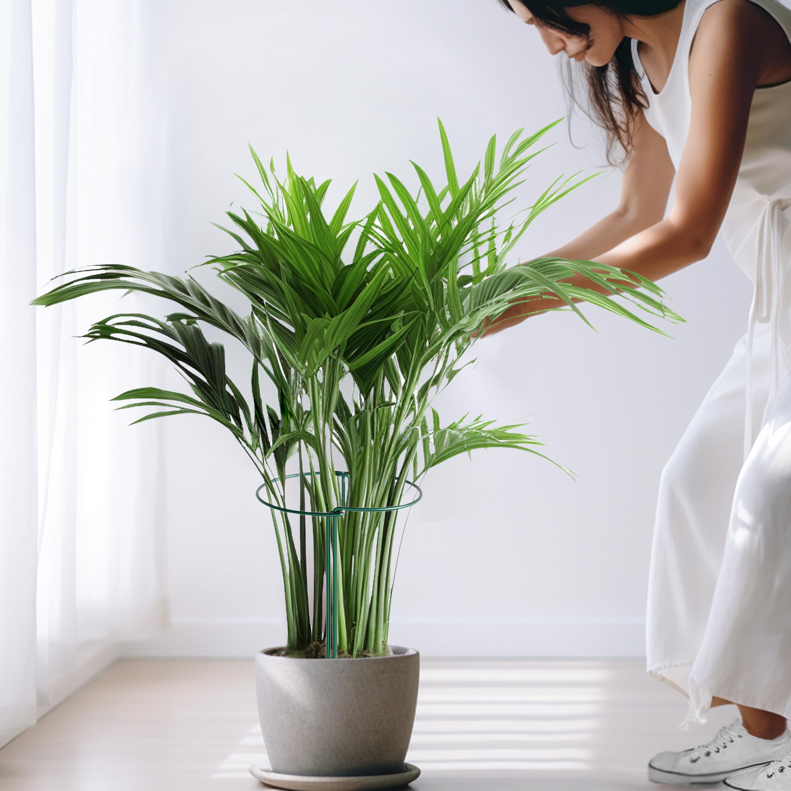 SORANGEUN jaulas en jardín junto a flores y verduras, mejora estética y orden