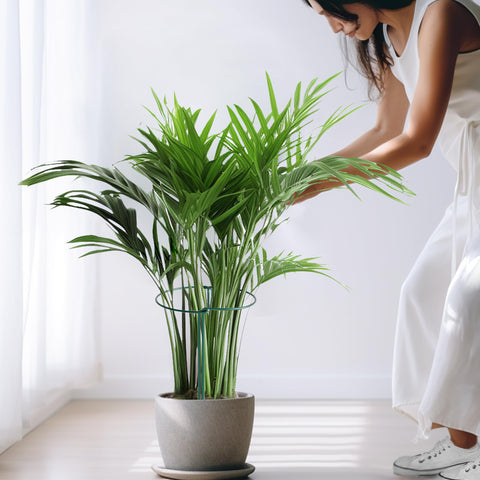 SORANGEUN jaulas en jardín junto a flores y verduras, mejora estética y orden