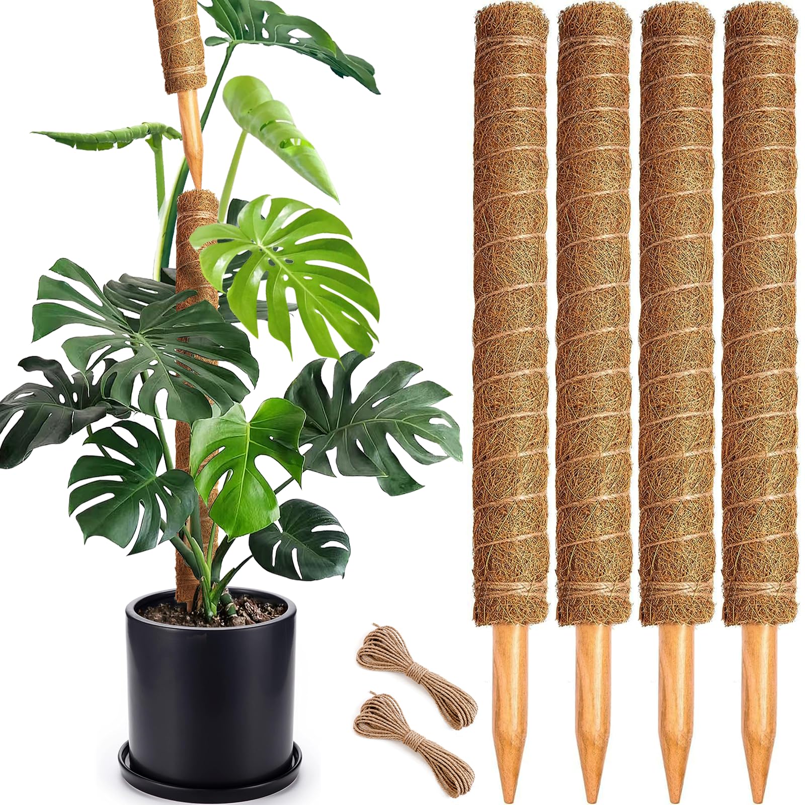 Soupiar vista frontal pack de postes musgo, soporte resistente para plantas