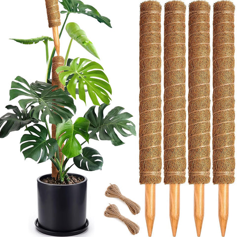 Soupiar vista frontal pack de postes musgo, soporte resistente para plantas