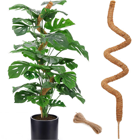 Soupiar poste musgo frontal mostrando soporte estable para plantas