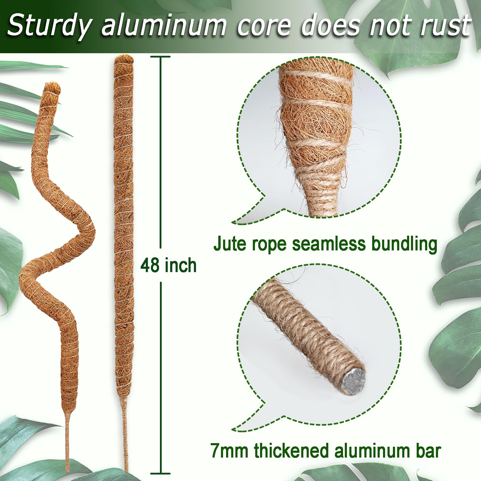 Soupiar textura de fibra de coco retiene humedad para raíces