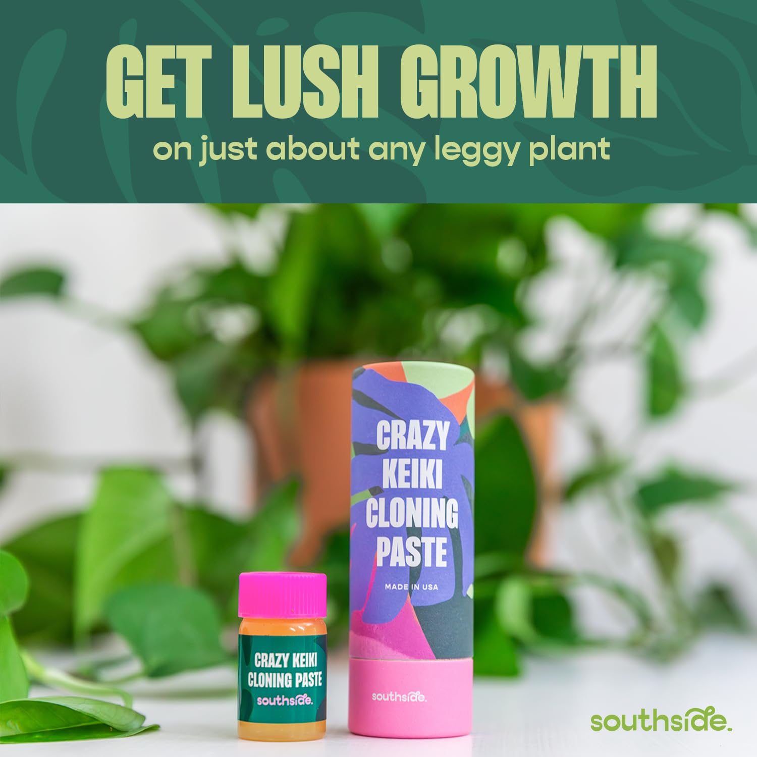 Southside Plants aplicación en nudo de orquídea para promover brotes