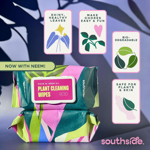 Southside Plants comparación de tamaño de toallitas para cubrir hojas grandes