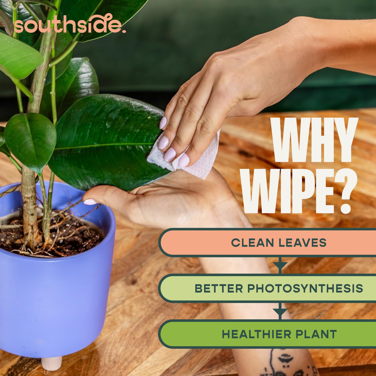 Southside Plants etiqueta con ingredientes suaves y beneficios para hojas
