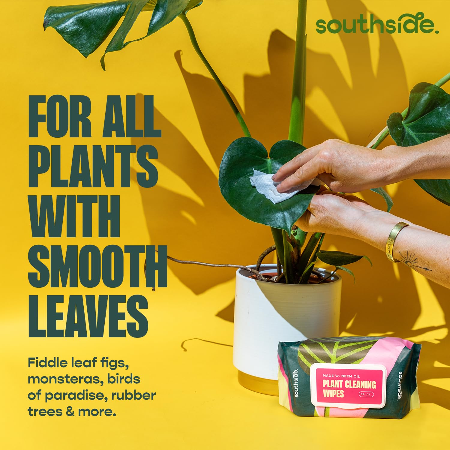 Southside Plants hojas luciendo brillo natural tras limpieza con toallitas