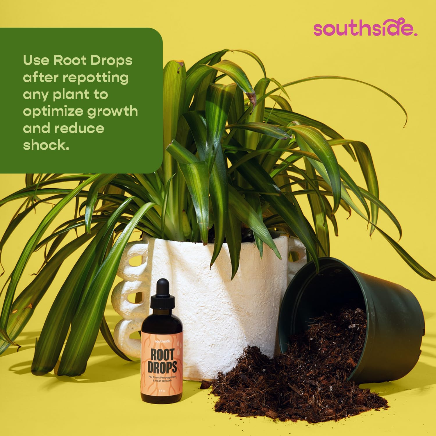 Southside Plants uso en leca mostrando compatibilidad con sustratos inertes