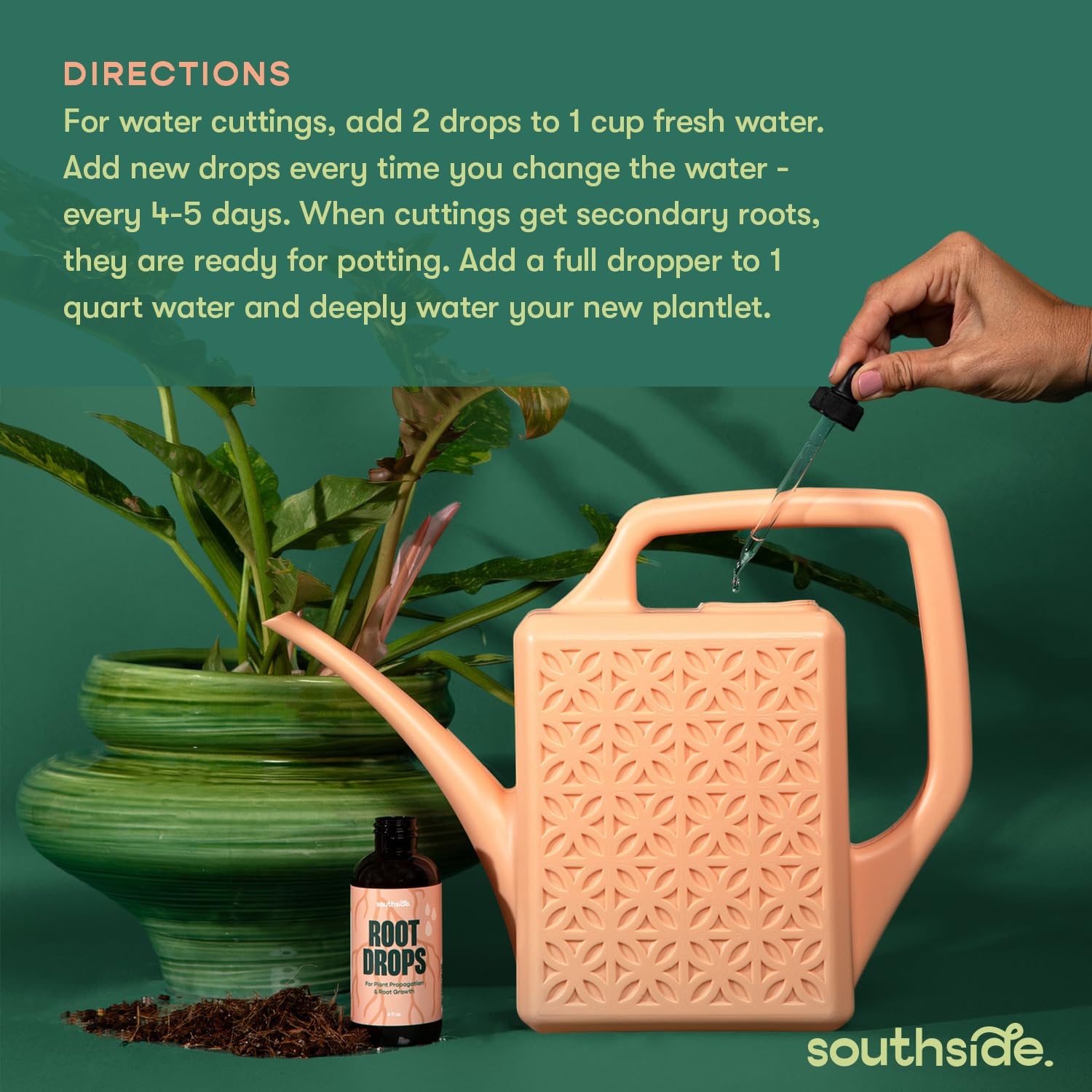 Southside Plants aplicación en agua con esqueje enraizando más rápido