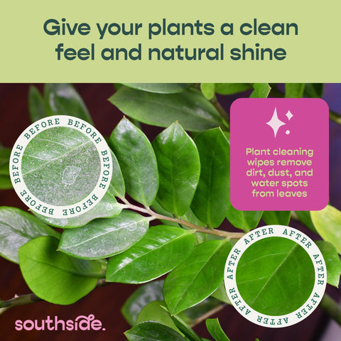 Southside Plants textura waffle de la toallita muestra absorción efectiva