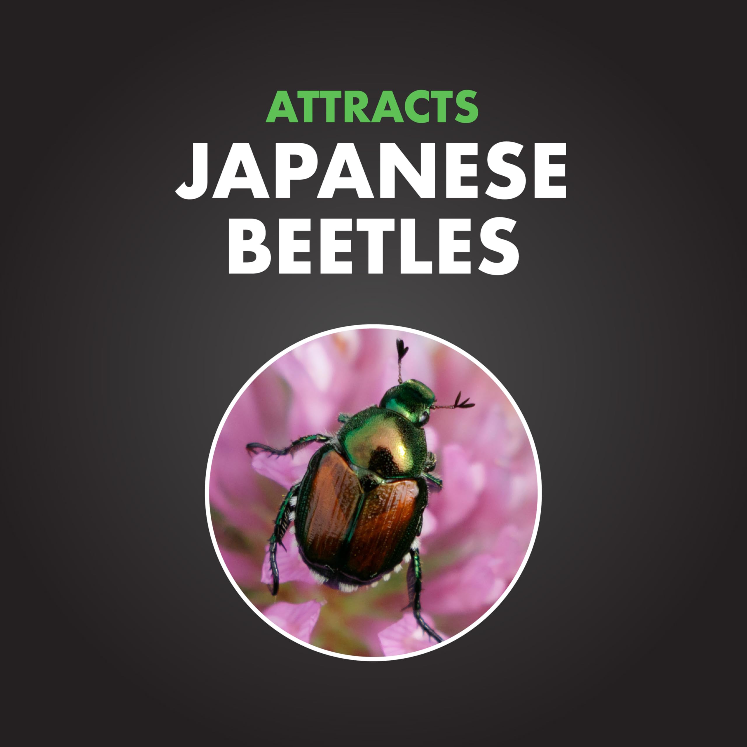 Spectracide bolsa desechable con textura visible para retener insectos sin escapes