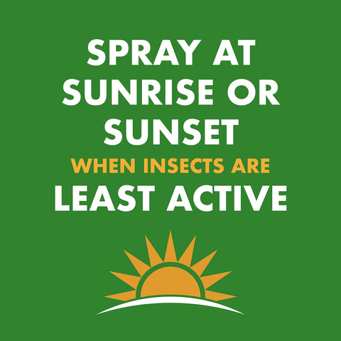Spectracide spray en uso sobre nido para reducción rápida de insectos