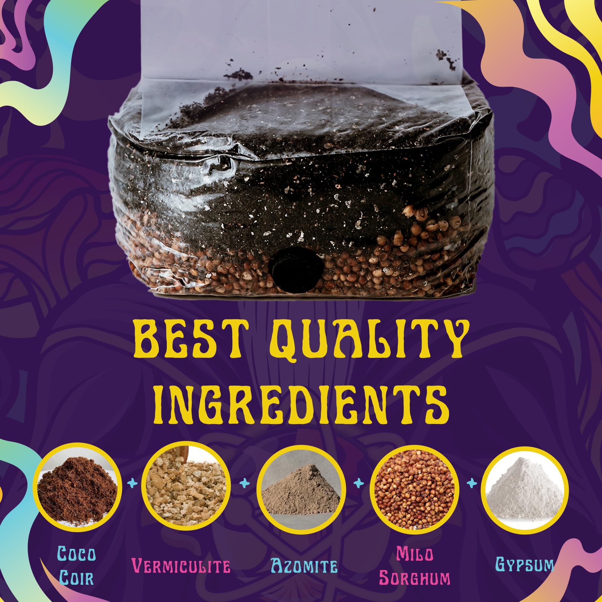 SPORE SORCERY textura del sustrato nutritivo favorece colonización