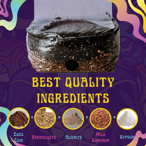 SPORE SORCERY textura del sustrato nutritivo favorece colonización